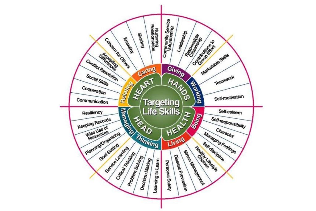 -H Targeting Life Skills Wheel Questions To be completed with each -H project record If you are completing more than one project record you cannot use the exact same paragraph(s) for each project