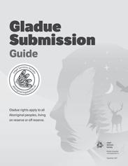a Gladue report or prepare an oral Gladue submission.