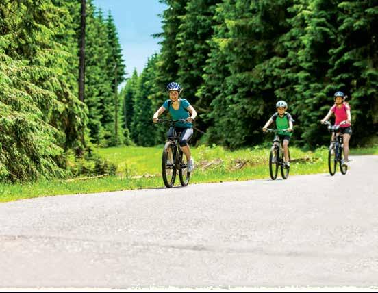 Cycling is healthy: Incorporating exercise into your lifestyle has many health benefits it can strengthen your immune system, lower blood pressure and cholesterol, reduce stress, strengthen your