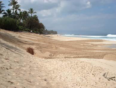 Sand is typically moved with a bulldozer, front-end loader or pan excavator, often in a landward direction across the beach.