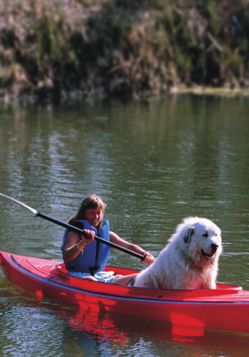 kiwi 2 This compact tandem is the ideal way for you and your paddling partner or family to enjoy local waterways.