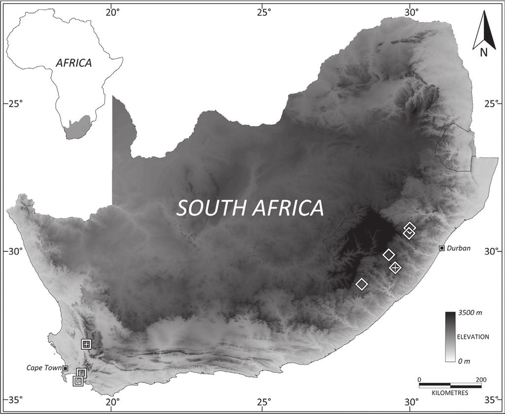 A review of the alderfly genus Leptosialis Esben-Petersen (Megaloptera, Sialidae)... 39 Figure 24. Distribution map of specimens housed in the Iziko and Albany Museums in South Africa.