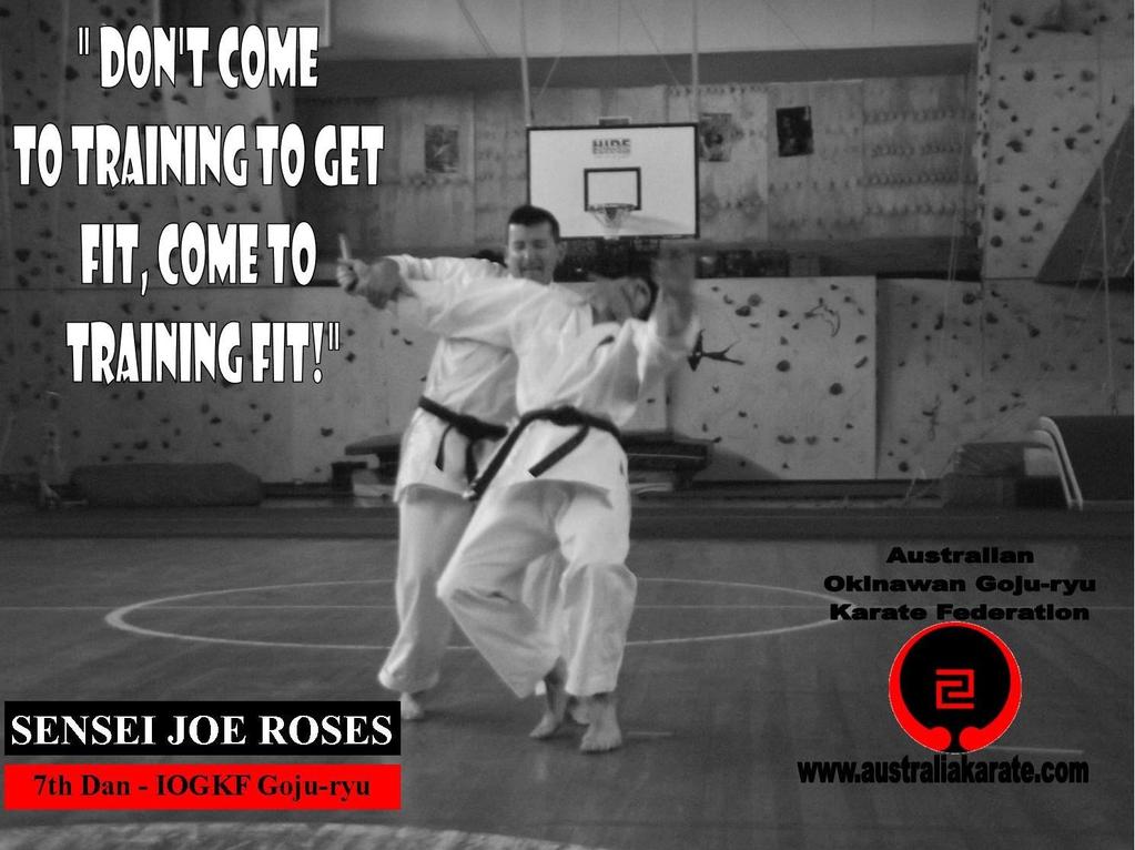 By: SENSEI JOE ROSES - 7th Dan - IOGKF Australia (AOGKF) Dojo training is one thing, training at home is another.