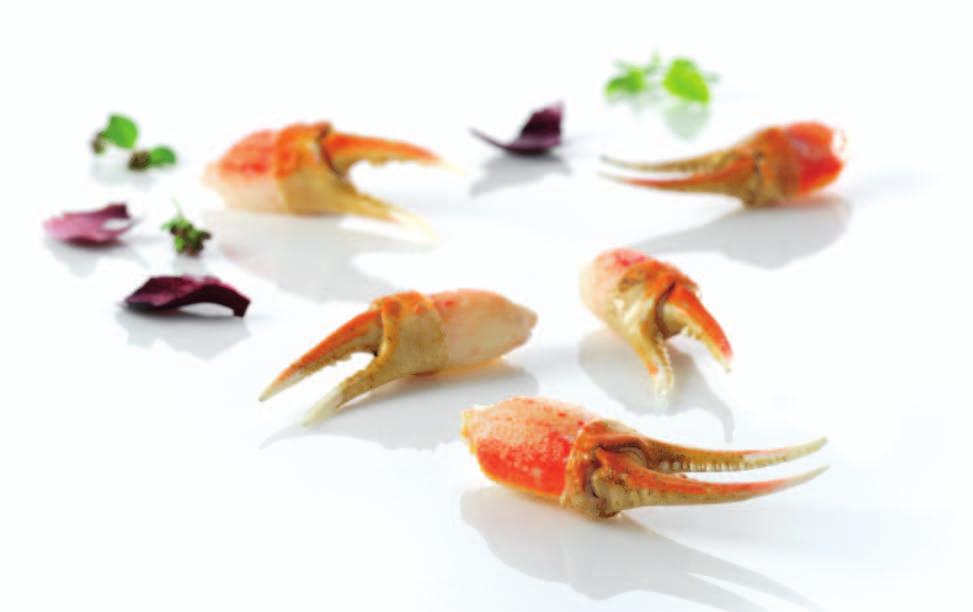 Royal Greenland Snowcrab claws - Snow crab from Greenland - Peeled, ready to eat - Convenient and delicate - Is a healthy product low fat content and high content of protein - Has sweet and