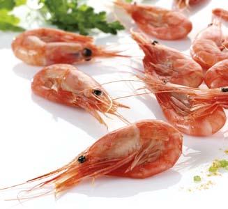 Sustainability - Our prawns and snow crab are always caught within quotas - We do not overfish - We take active part in preserving natural ressources Food safety -