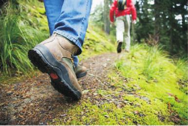 uk Walk your way to health at Salary Brook Local Nature Reserve Walk your way