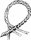 The two centres are simply held with a crossover knot, and the strands thinned down and spliced as for a short splice.