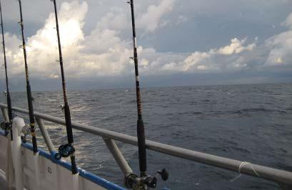 Charter vessels and headboats fishing for snappers, groupers, amberjack, tilefish, hogfish, and gray triggerfish. NOTE: Issuance of new permits is under a moratorium effective 6/16/2003.