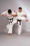 Enshin karate s method of executing an inside thigh kick is quite different to the conventional application, where basically a low roundhouse kick is directed into the inside of the opponents thigh.