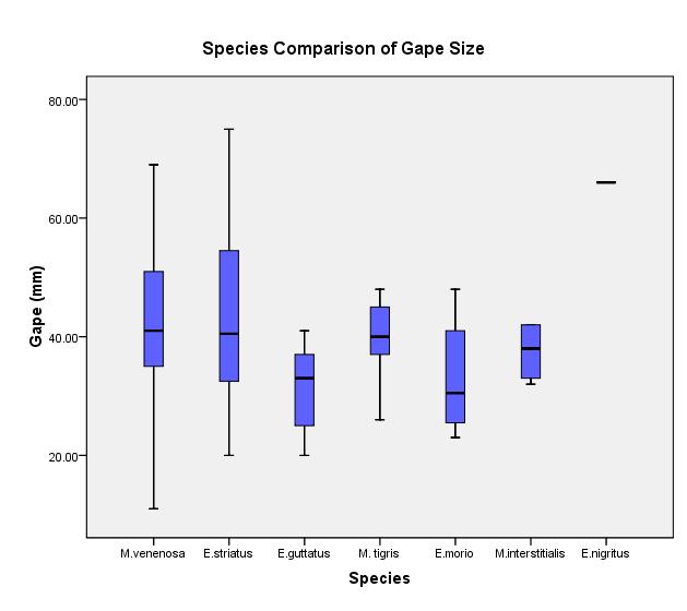 Figure 15: Distribution of Gape sizes throughout the different species landed. There is a distinct positive correlation for all species between the Total length of an individual and its Gape size.