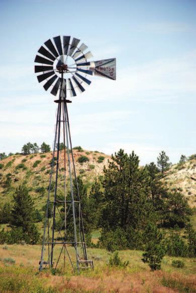 Location The Diamond Ranch is located in the Rosebud Valley about 20 miles south of Rosebud, Montana, a small community on the