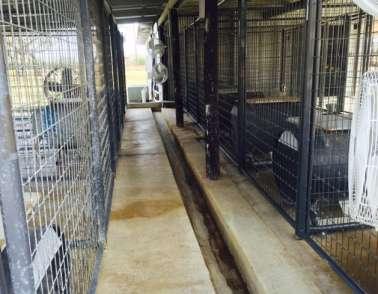 Area The dog pen/ game