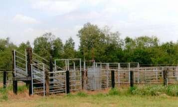 The ranch is divided into 8 pastures for