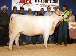 He is a two-time National Charolais Show Class Winner and Division Champion! At the Fort Worth National Show in 2009 he was the National Reserve Junior Bull Calf Champion.