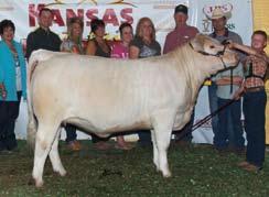other princess she came across! When Bomshell sold on Oct. 3, 2009, during the 2009 Northern Exposure Sale, very few saw the awesome potential that this heifer had lurking inside.
