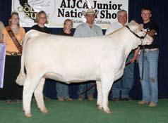 2010 Junior National Reserve Champion Steer Nora x Alias steer 11A Choice of Nora embryos 4 Frozen embryos sired by the club calf giant Alias x SLS Nora 304 These embryos are full sibs to the