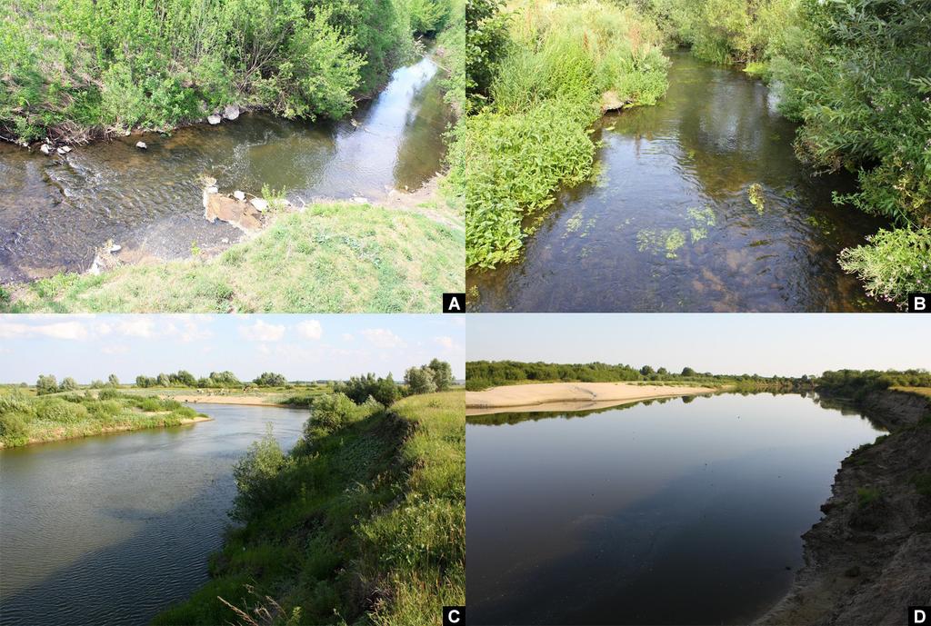 186 Check List 13 (4) Figure 1. Sampling sites. A. Skachki River, locality classified at a distance of 25 km from the source river. B.