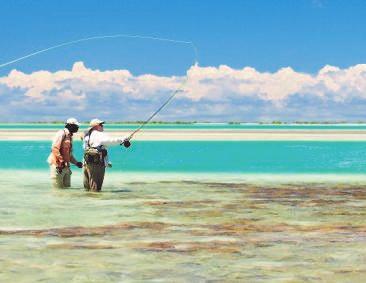 It is your itinerary it is up to you what you do. Experienced local fishing guides offer their wealth of expertise to visiting fishermen through private guiding services.