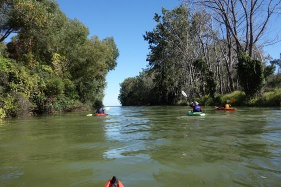 The river may be too shallow for canoes and kayaks during dry periods in the area surrounding the city s low head dams, but above Waterloo dam and below Hellenberg Park is always navigable.