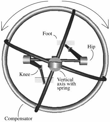 Dynamic biped 279 Fig. 8. Actuation scheme of ankle. During the first part of the stance phase, the ankle acts as a free joint.