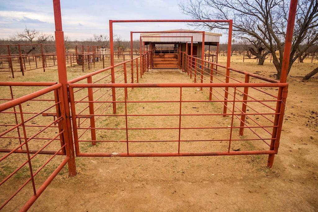 CATTLE: This is a productive cattle ranch with a carrying capacity of 90 to120 animal units. It is common in this area for ranchers to stock the land with one animal unit per 25 acres.