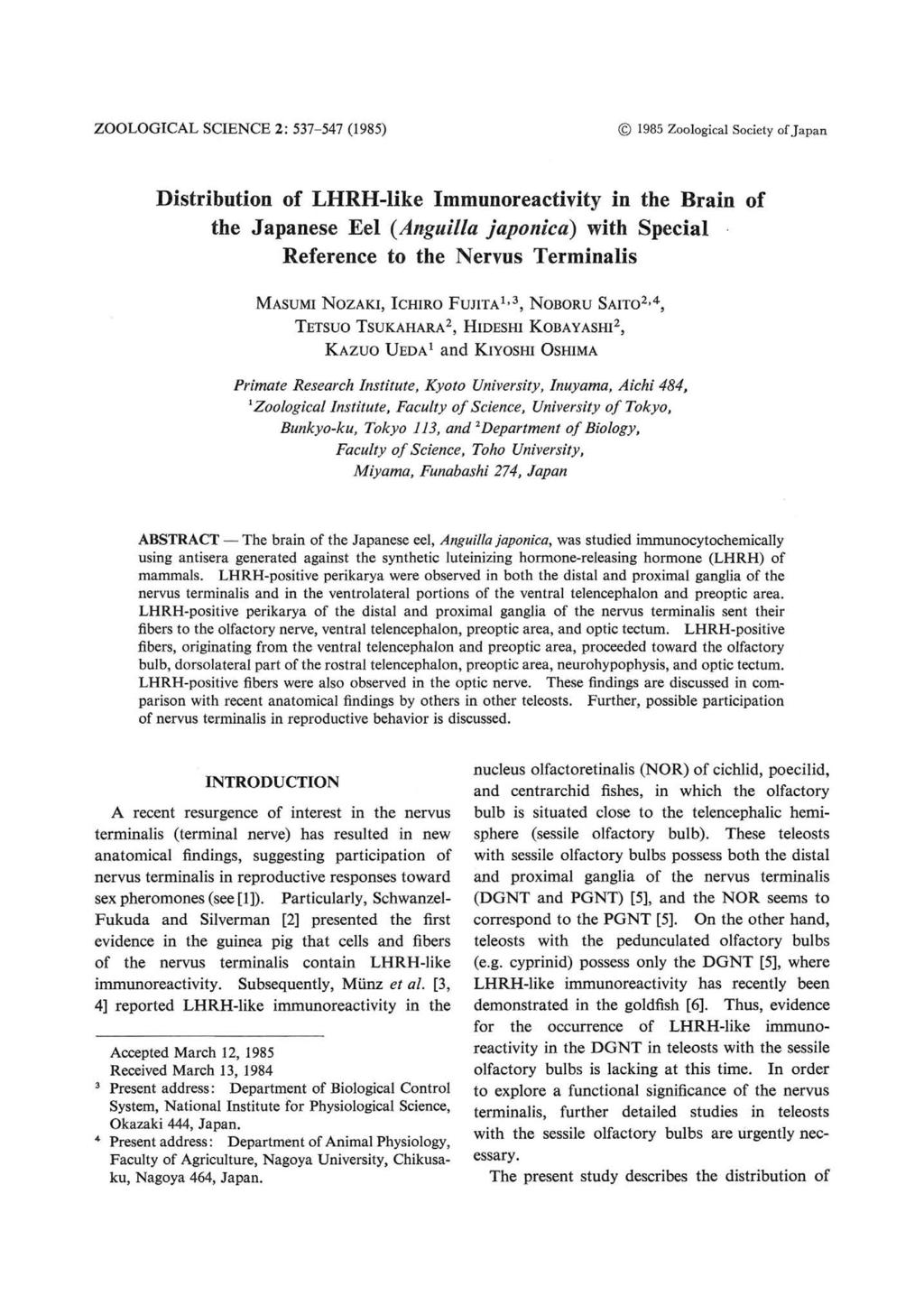 ZOOLOGICAL SCIENCE 2: 537-547 (1985) 1985 Zoological Society of Japan Distribution of LHRH-like Immunoreactivity in the Brain of the Japanese Eel (Anguilla japonica) with Special Reference to the
