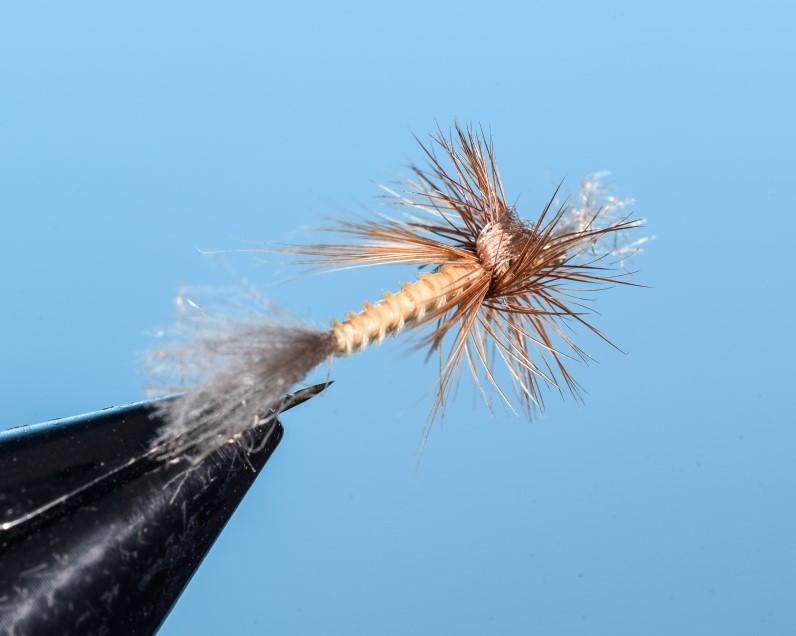 June Tip & Bug Selections In June every single angler is a dry fly enthusiast! This is a very busy time of year with all anglers trying to chase the big bugs of summer.