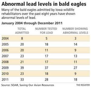 Iowa Bald Eagles in Iowa have rebounded dramatically Bald