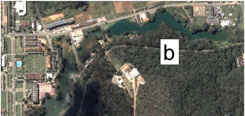 Figure 1. Collection areas within the Federal University of Viçosa (UFV) in Viçosa, Minas Gerais State, Brazil. a) Reservoir 1; b) Reservoir 2.