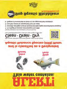 AQUATIC NUISANCE SPECIES (ANS) Anglers who have been fishing in waters where aquatic nuisance species (ANS) have been found may not leave those waters with any live fish.