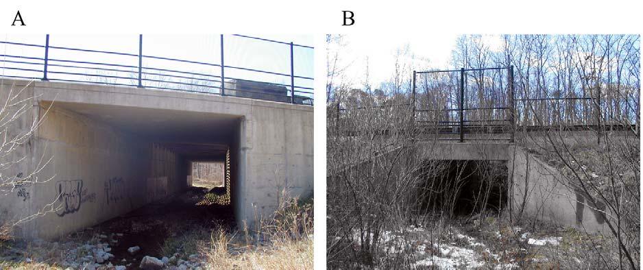 Site 3 Two single-barrel box culverts, approximately 0.25 mi apart, are situated beneath the Fairfax County Parkway (Figure 5).
