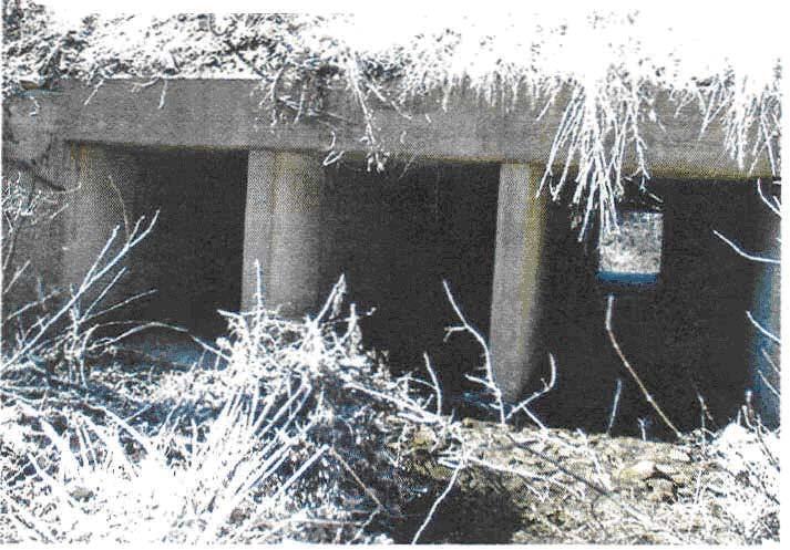 Figure 6. Site 4: Triple-box Culvert Beneath Route 340 North of Grottoes Site 5 Site 5 is located beneath I-81 just north of Buchanan in Botetourt County.