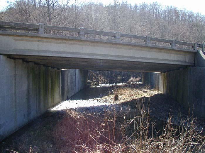 Site 6 Site 6 is a small bridge approximately 3 mi south of Site 5, also in Botetourt County (Figure 8). The bridge, which spans Purgatory Creek, is beneath I-81 and measures 59 by 44 ft.