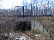 Underpasses Used by White-tailed Deer.