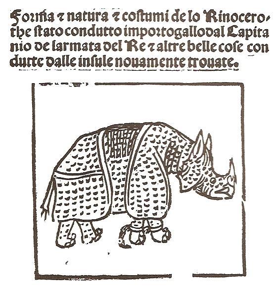 This particular Indian rhino (Rhinoceros unicornis) was a specimen which arrived in 1515 after a long odyssey over sea at Portugal, where it lived in the menagery of Ribeira Palace at Lisbon.