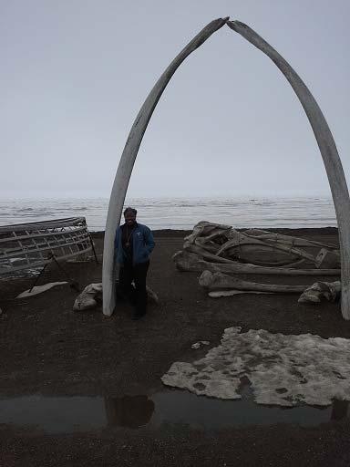 Barrow, Alaska Bowhead Whale