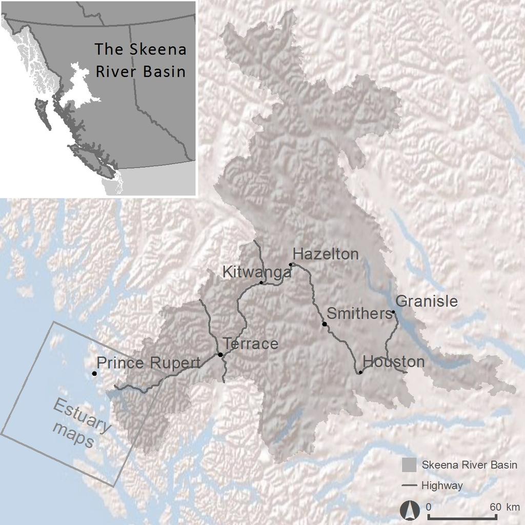 Report cards are available for each individual CU in the Skeena watershed; this supplementary Skeena Estuary report card summarizes information for estuary indicators that are important for all