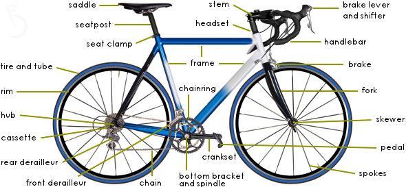 1.3.1 Original System Structure A standard bicycle frame design consists of a double diamond design and features a fork that is placed in the head tube of the frame.