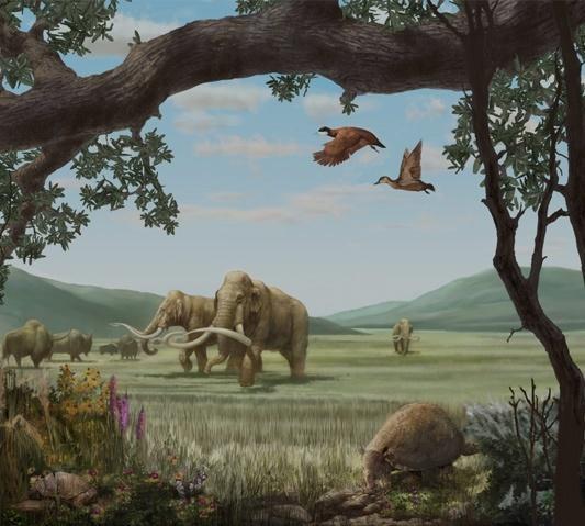 HUNTING & GATHERING The Pleistocene (1.