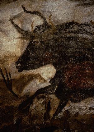 Animals of Paleolithic Art project part 1 research Natural history- range, behavior, diet etc. Status- extinct? How? Related contemporary species if extinct.