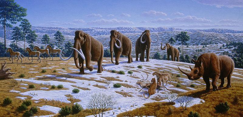 Ice Age Environmental Conditions Ice Age ~1.