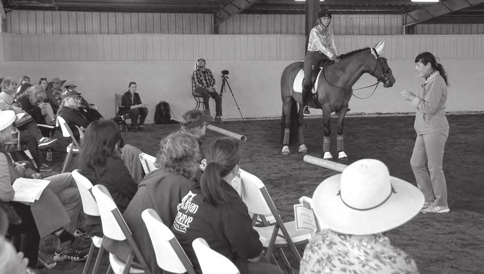 A big thank-you to CDS for sponsoring this educational series for AA s and to my East Bay Chapter for selecting me to attend. I took my Trakehner gelding Tanzartig Ps whom I competed at I-1 last year.