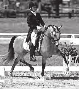 USEF USDF FEI USEF USDF A Well Worth Road Trip For Emily Lasher By Yellow Horse Marketing for the National Dressage Pony Cup A few puddles weren t going to keep California s Emily Lasher and The Hot