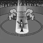 The elephant did a trick in the circus ring.