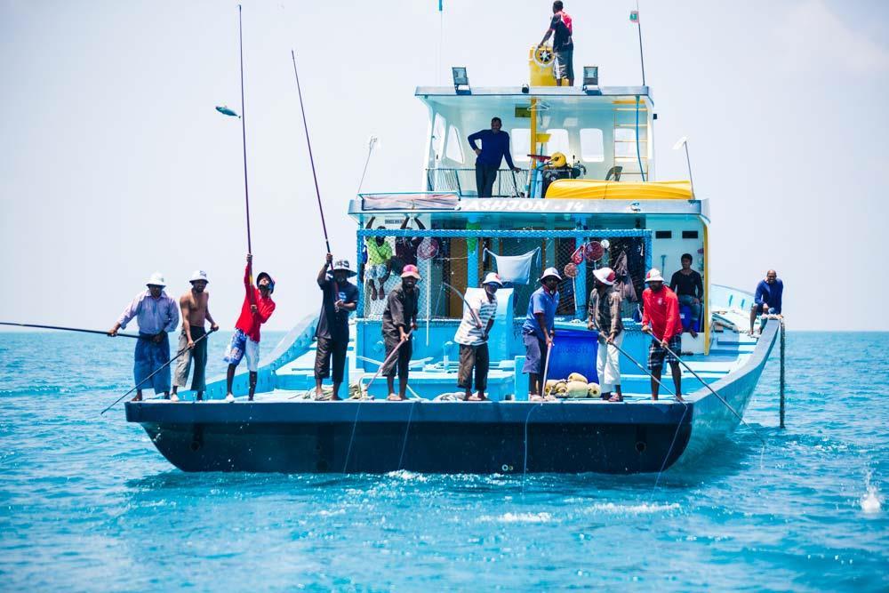 An example of good fishing practice The Maldives Pole and line fishery No contract (walk-in-walk-out) community