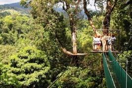 Day 4: Zip lining in the rainforest.
