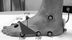 Foot Core Functional Assessment