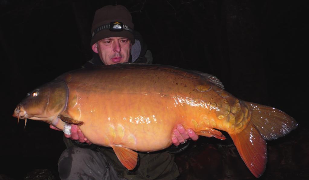 below: A 50lb+ mirror caught in the depths of winter, one of my favourite times of year.