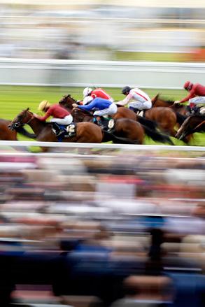 Many races are contested by the top horses in Britain and from further afield, making them an attractive betting proposition.