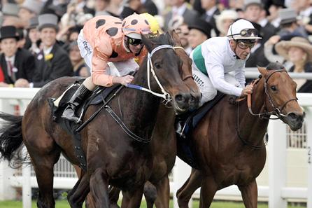 Of these races, 22 were at Royal Ascot, by some way the highest quality meeting of the British Flat racing season and arguably in the world, five at QIPCO British Champions Day and 14 at other